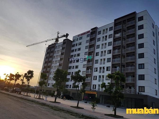 Chung cư Hoàng Long Thanh Hóa