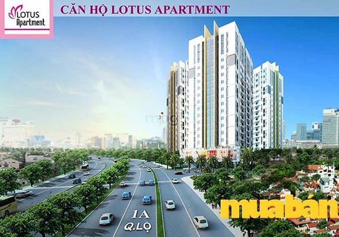 Lotus Apartment
