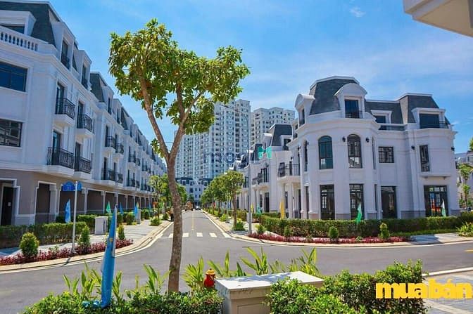 Amelie Villa Phú Mỹ Hưng