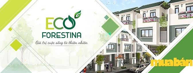 Eco Forestina
