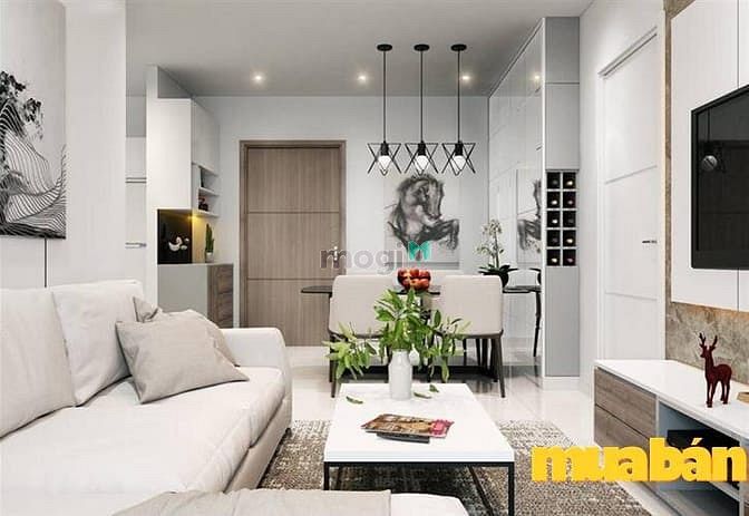 Topaz Home 2