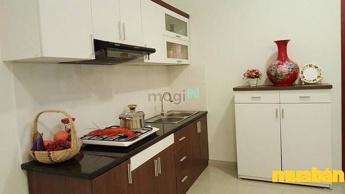Topaz Home 2