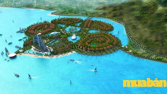 Đảo Hoa Phượng - The Flamboyant Island