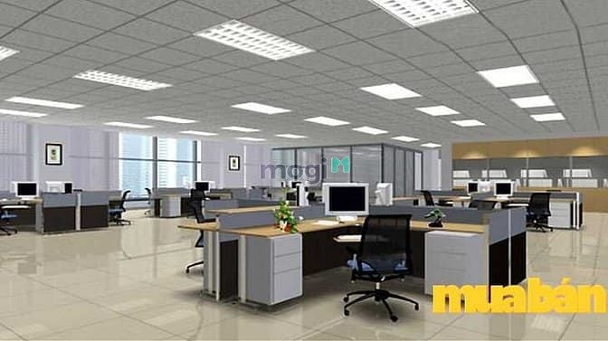 Sacomreal – Generalimex