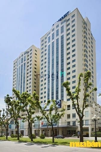 Hoàng Sâm - 151 Hoàng Quốc Việt