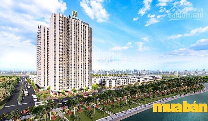 Hanhomes Blue Star