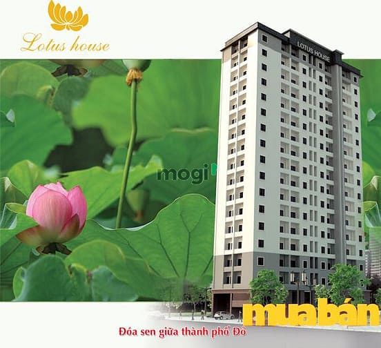 Trang Chủ MB66.COM Chính Thức - TTTM Lotus House