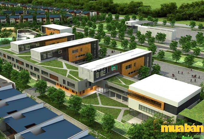 Mipec City View