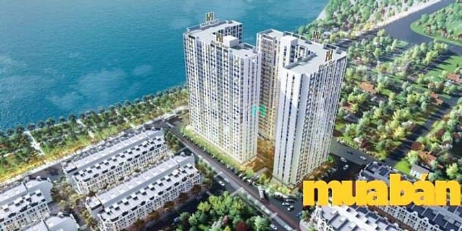 Hanhomes Blue Star