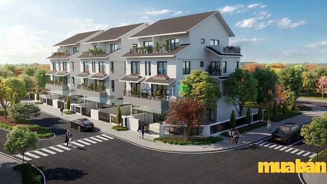Biệt thự song lập Azalea Homes