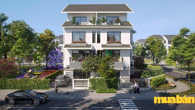 Biệt thự song lập Azalea Homes