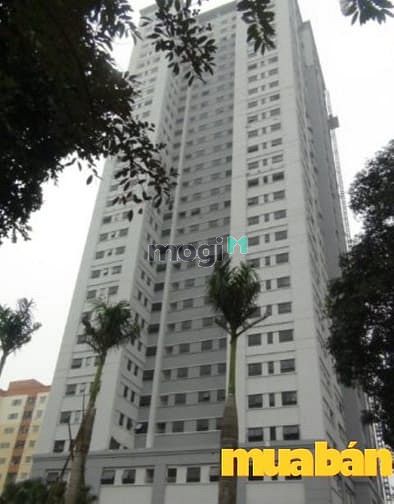 Tổ Hợp VP3