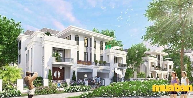 Phước Bình Home