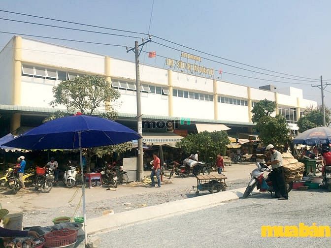 TĐV Phong Phú