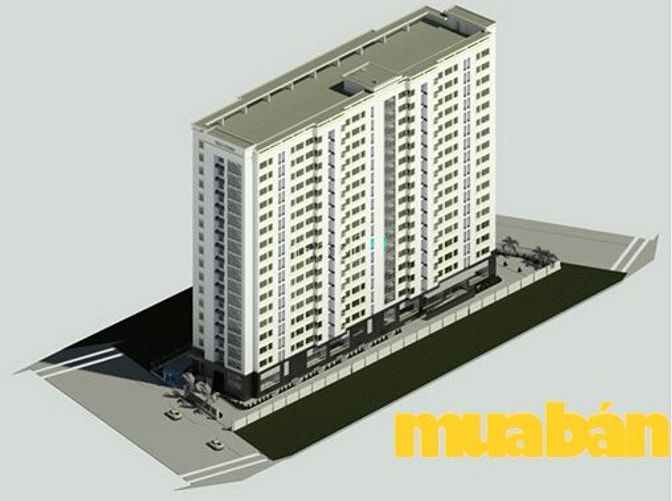 Felix Homes