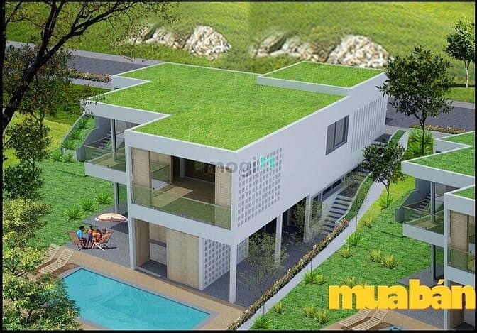 Ocean Front Villas