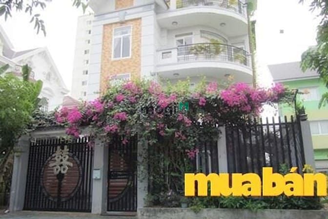 Khu biệt thự Tấn Trường