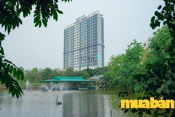 Trust City Văn Giang