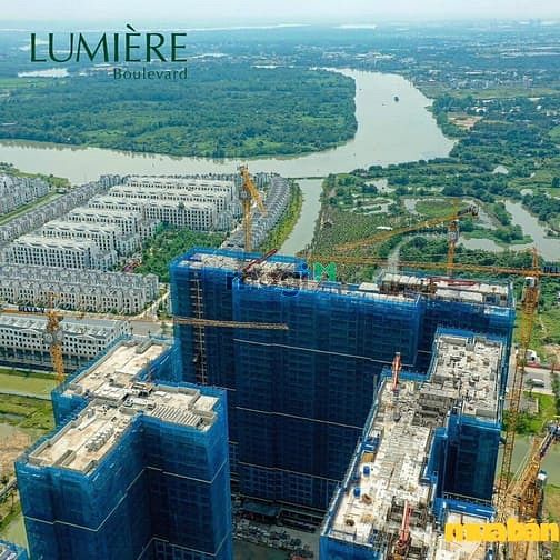 Lumiere Boulevard