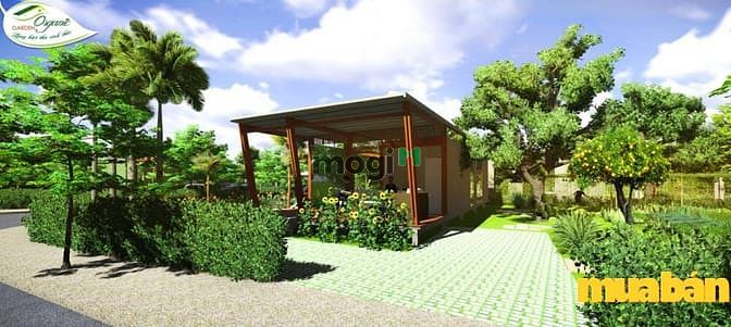 Organic Garden