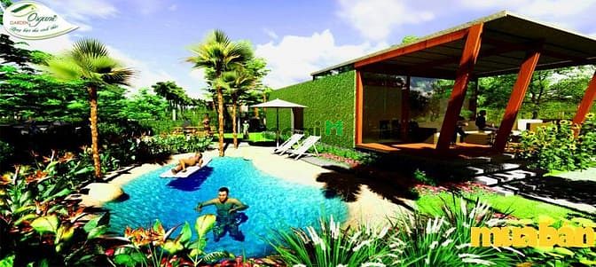 Organic Garden