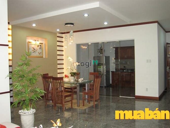 Samland Giai Việt