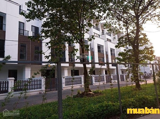 Làng Việt Kiều Châu Âu Euroland