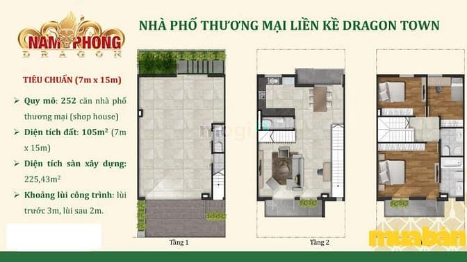 Nam Phong Dragon