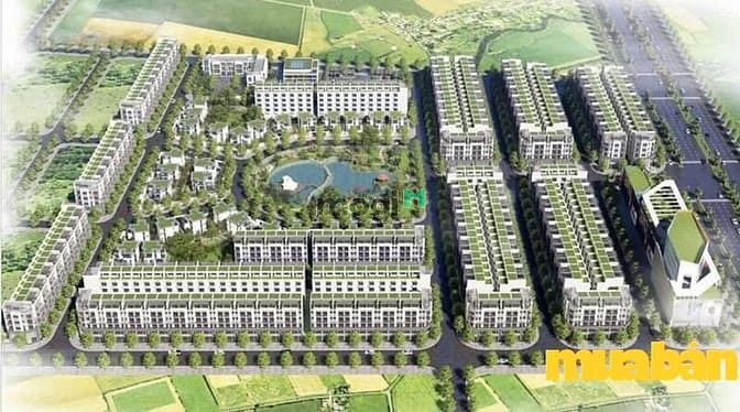 Amdi Green City