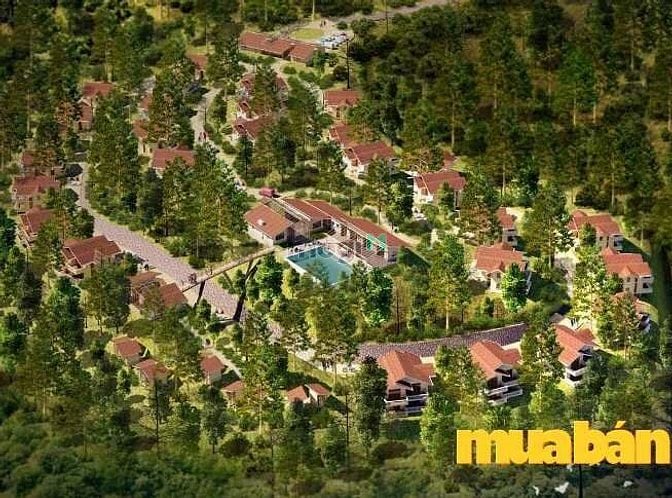 Mandaville Hạ Long