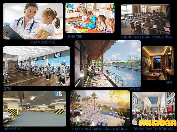 Dự án Môi Trường Xanh