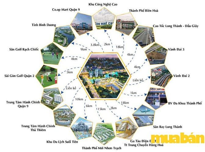 Singa City