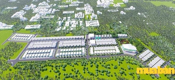 Dinh Mười III Central Park