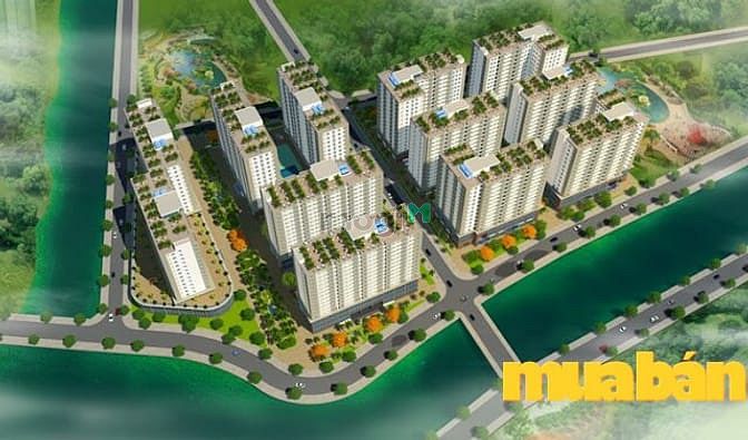HQC Tây Ninh