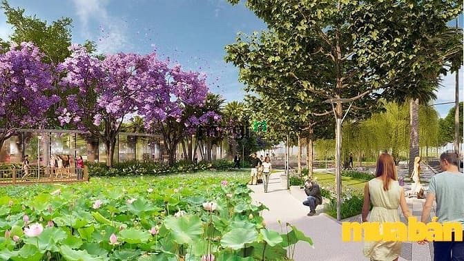 Centa Villas Từ Sơn