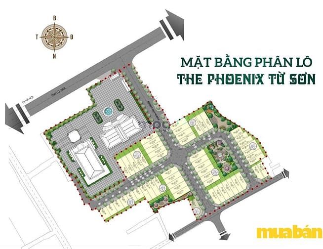 The Phoenix Từ Sơn