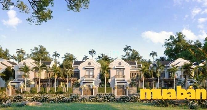 Hoian D'or