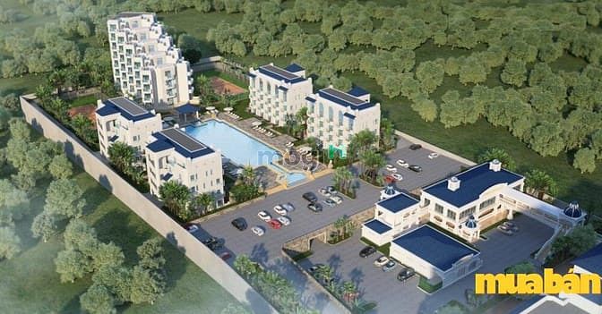 Lan Rừng Phước Hải