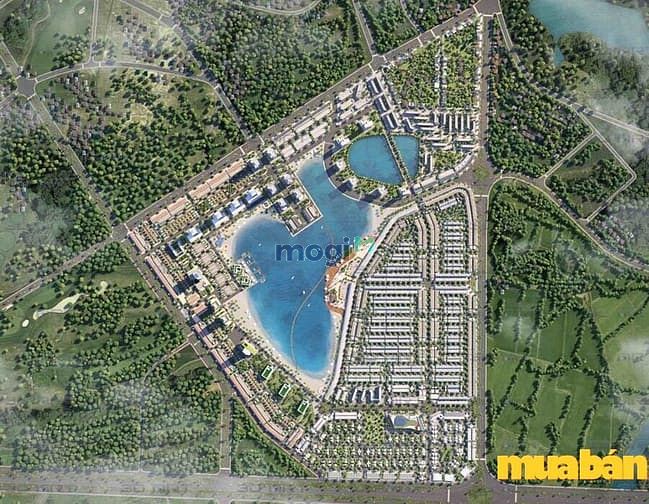 TMS Homes Wonder World