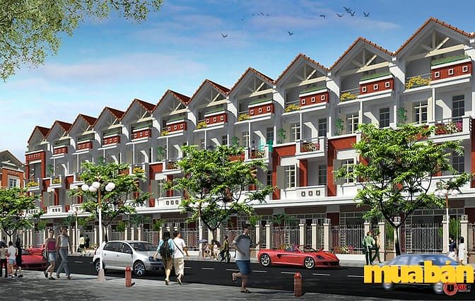 TMS Homes Wonder World