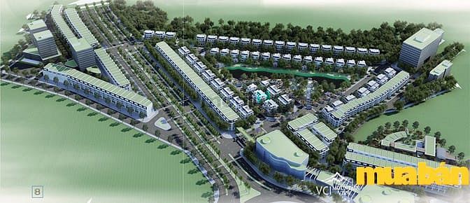 VCI Mountain View