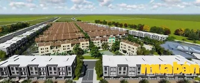 Belhomes Từ Sơn
