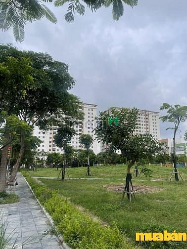 Dự án Môi Trường Xanh