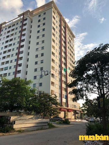 Dự án Môi Trường Xanh