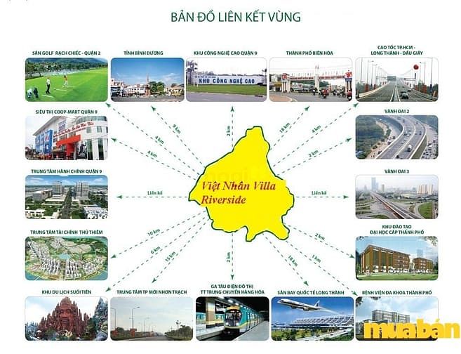 Việt Nhân SHTP Open