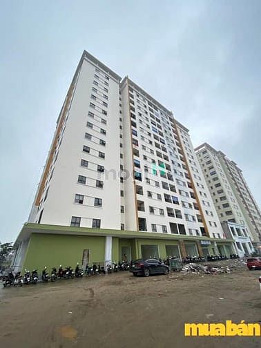 Dự án Môi Trường Xanh