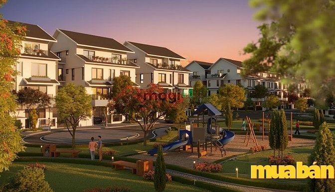 Biệt thự song lập Azalea Homes