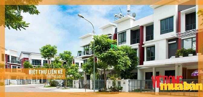Việt Long City
