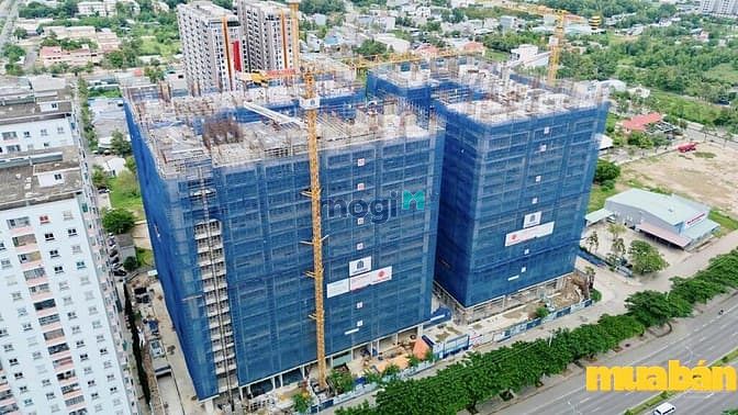 Tumys Homes Phú Mỹ