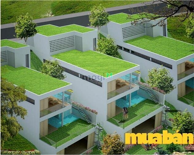Ocean Front Villas